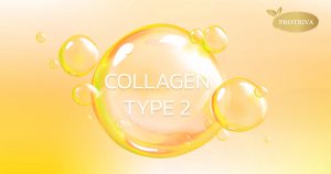 Collagen Type 2 คืออะไร ช่วยบำรุงข้อเข่าได้จริงหรือไม่