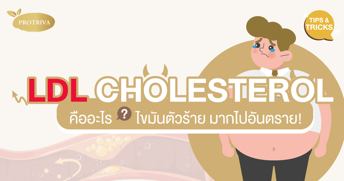 LDL Cholesterol คืออะไร ไขมันตัวร้าย มากไปอันตราย!