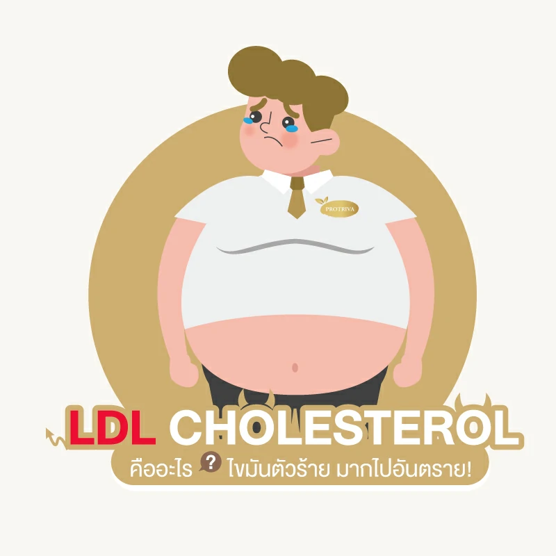 LDL Cholesterol คืออะไร