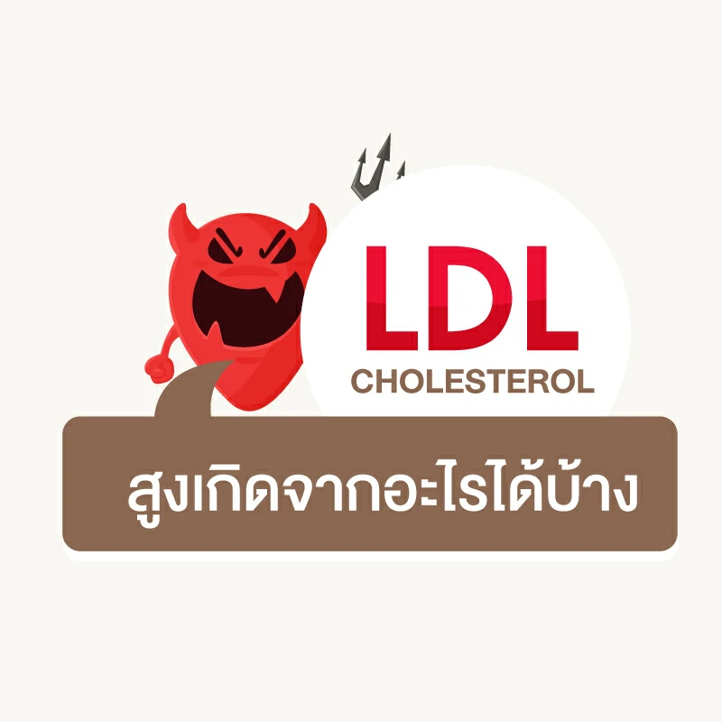 LDL Cholesterol สูงเกิดจากอะไรได้บ้าง