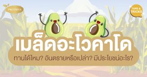เมล็ดอะโวคาโด กินได้ไหม อันตรายหรือเปล่า มีประโยชน์ไหม