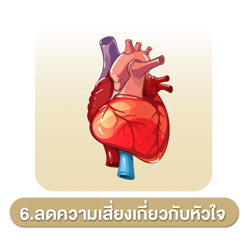 กรดโฟลิก ประโยชน์อยางที่ 6.ลดความเสี่ยงเกี่ยวกับหัวใจ