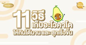 รวม 11 วิธีเก็บอะโวคาโด ทั้งให้กินได้นานๆ และ ให้สุกเร็วขึ้น