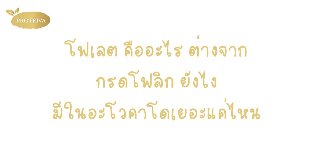 โฟเลต คืออะไร ต่างจาก กรดโฟลิก ยังไง มีในอะโวคาโดเยอะแค่ไหน