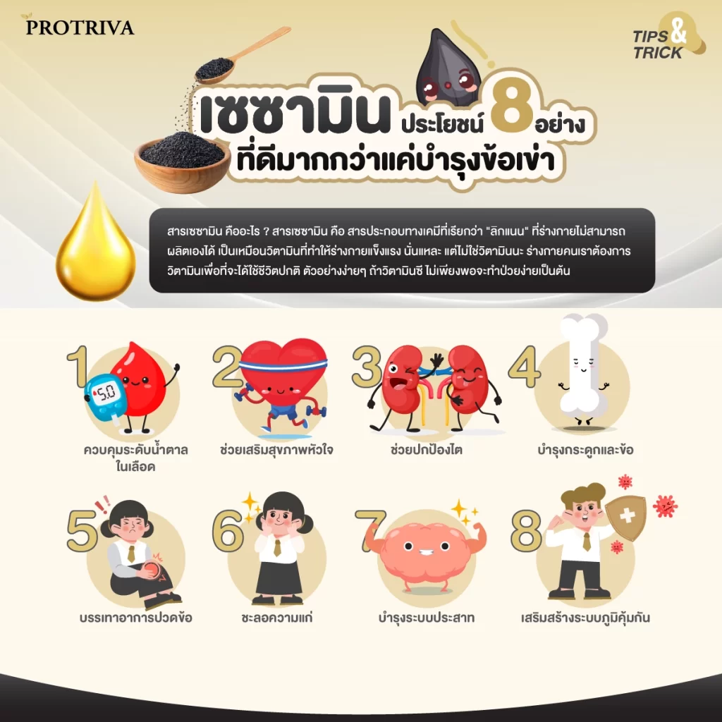 สรุป เซซามีนประโยชน์ 9 อย่างที่ดีมากกว่าแค่บำรุงข้อเข่า