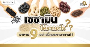 เซซามิน อยู่ในอาหารอะไรบ้าง 9 อย่างนี้ควรหามาทาน!!