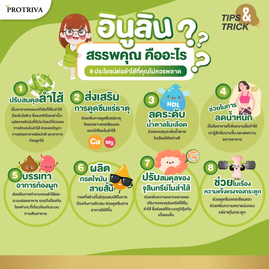 สรุป อินูลิน สรรพคุณ คืออะไร 8 ประโยชน์ต่อลำไส้ที่คุณไม่ควรพลาด