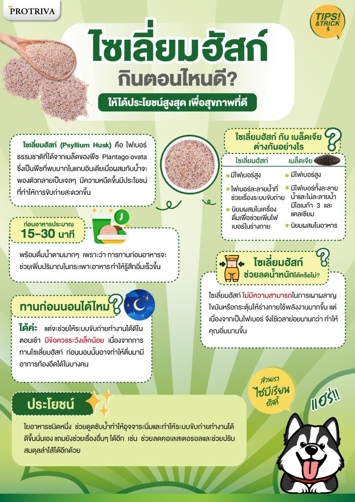 สรุป ไซเลี่ยม ฮัสค์ กินตอนไหนดี ให้ได้ประโยชน์สูงสุดเพื่อสุขภาพดี