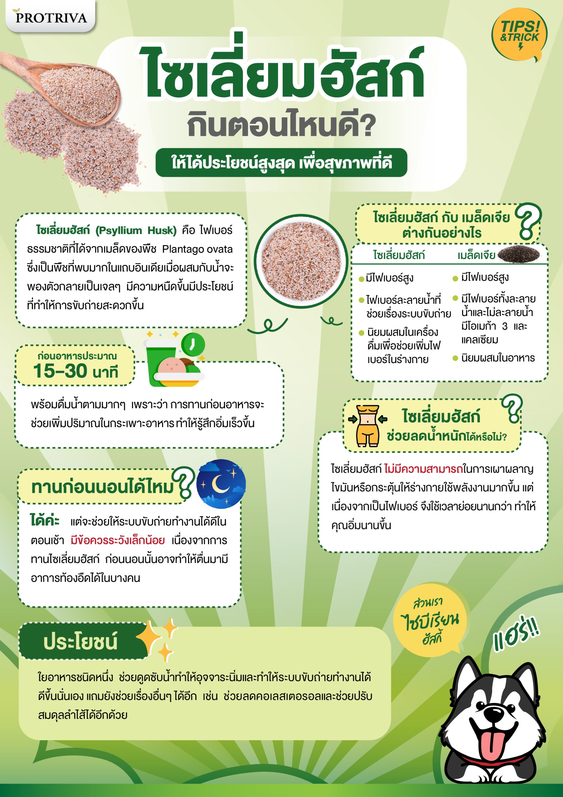 สรุป ไซเลี่ยม ฮัสค์ กินตอนไหนดี