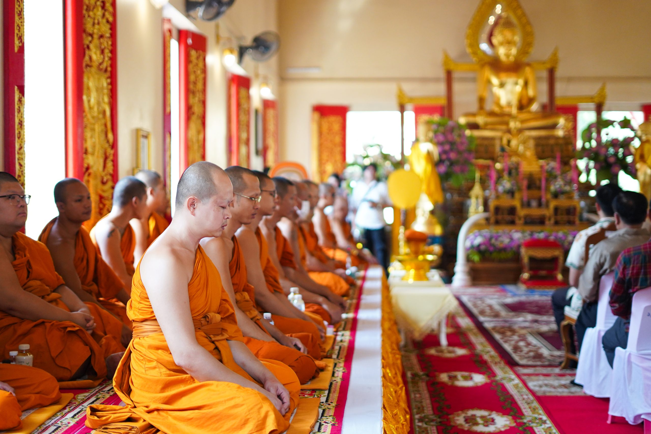 โปรทริว่า