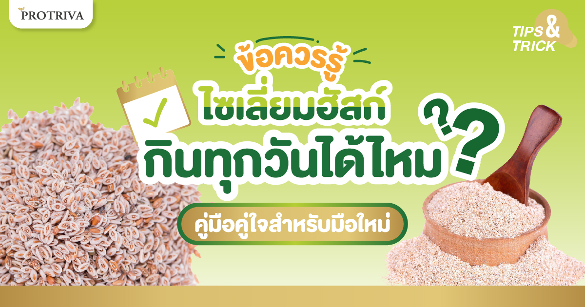 ข้อควรรู้ ไซเลี่ยมฮัสค์ กินทุกวันได้ไหม คู่มือคู่ใจสำหรับมือใหม่