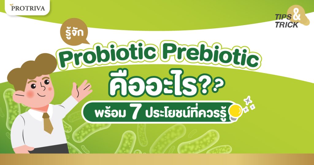 รู้จัก Probiotic Prebiotic คือ อะไรพร้อม 7 ประโยชน์ที่ควรรู้