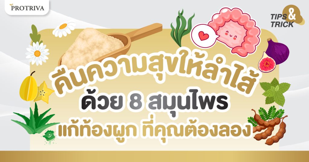 คืนความสุขให้ลำไส้ ด้วย 8 สมุนไพรแก้ท้องผูก ที่คุณต้องลอง