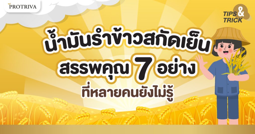 น้ำมันรำข้าวสกัดเย็น สรรพคุณ 7 อย่าง ที่หลายคนยังไม่รู้