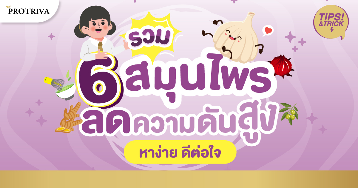 รวม 6 สมุนไพรลดความดันสูง หาง่าย ดีต่อใจ