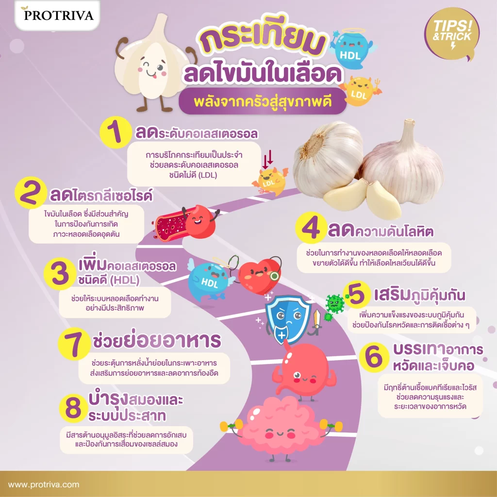 สรุป กระเทียมลดไขมันในเลือด พลังจากครัวสู่สุขภาพดี