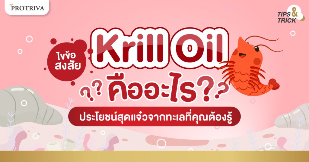 Krill oil คืออะไร ประโยชน์สุดแจ๋วจากทะเลที่คุณต้องรู้