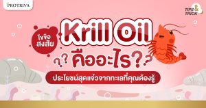 Krill oil คืออะไร ประโยชน์สุดแจ๋วจากทะเลที่คุณต้องรู้