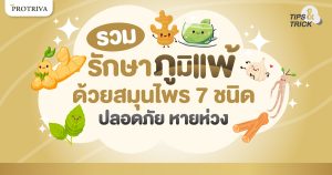 รวม รักษาภูมิแพ้ด้วยสมุนไพร 7 ชนิด ปลอดภัย หายห่วง