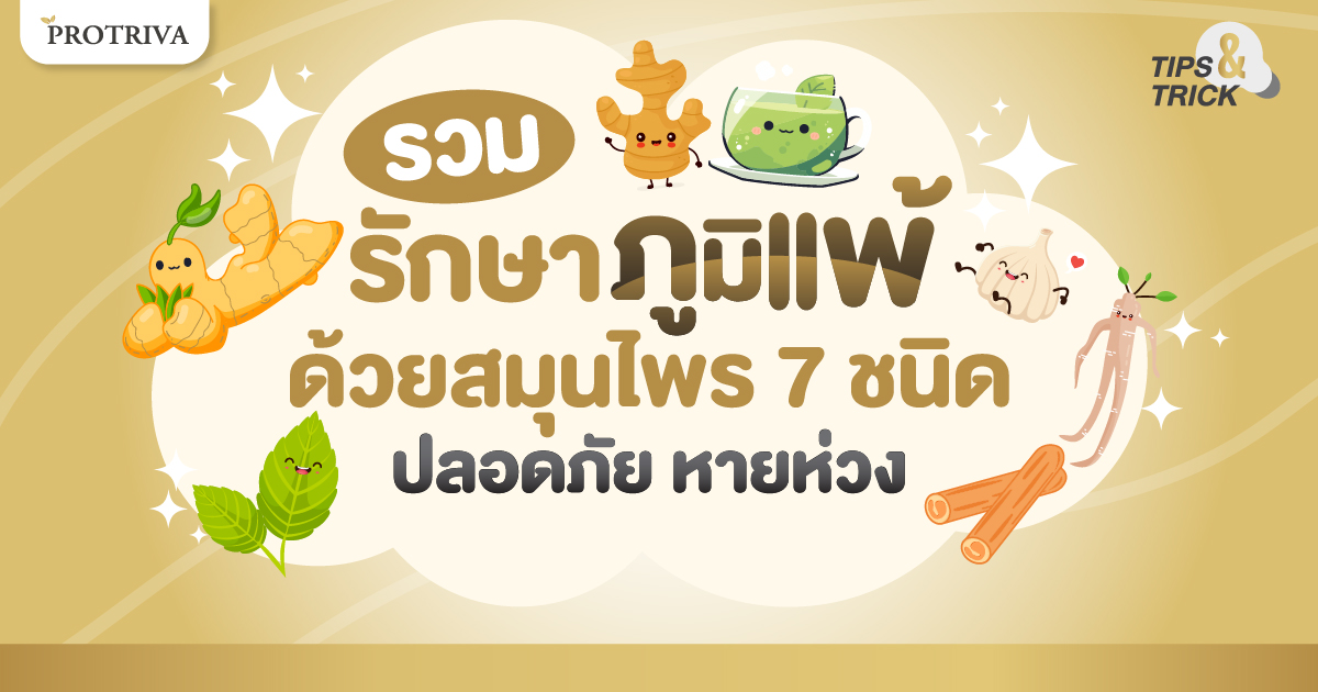 รวม รักษาภูมิแพ้ด้วยสมุนไพร 7 ชนิด ปลอดภัย หายห่วง