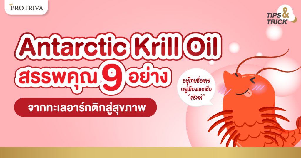 Antarctic Krill Oil สรรพคุณ 9 อย่าง จากทะเลอาร์กติกสู่สุขภาพ