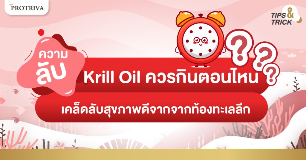 ความลับ Krill Oil ควรกินตอนไหน เคล็ดลับสุขภาพดีจากจากท้องทะเลลึก