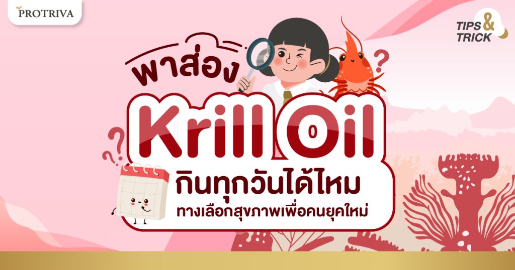 พาส่อง Krill Oil กินทุกวันได้ไหม ทางเลือกสุขภาพคนยุคใหม่