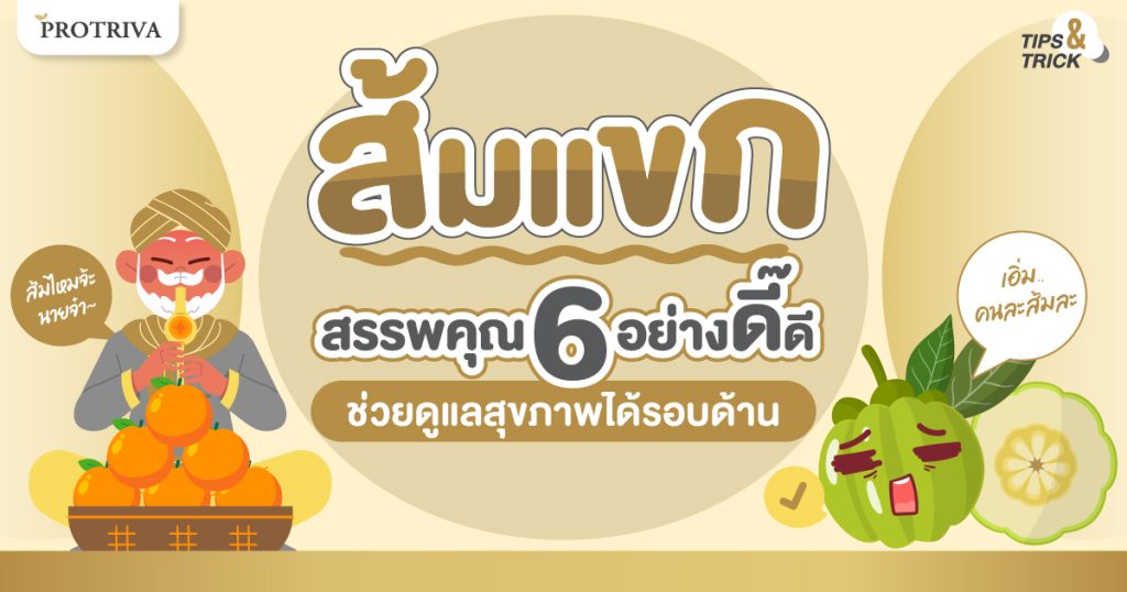 ส้มแขก สรรพคุณ 6 อย่างดี๊ดี ช่วยดูแลสุขภาพได้รอบด้าน