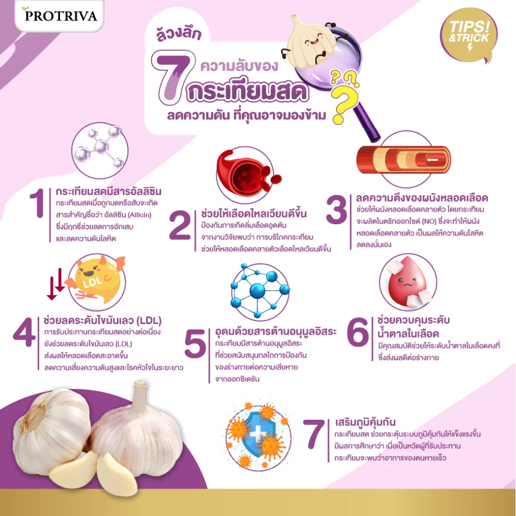 สรุป ล้วงลึก 7 ความลับของกระเทียมสด ลดความดัน ที่คุณอาจมองข้าม