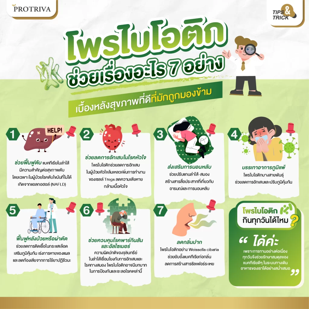สรุป โพรไบโอติก ช่วยเรื่องอะไร 7 อย่าง เบื้องหลังสุขภาพที่ดีที่มักถูกมองข้าม