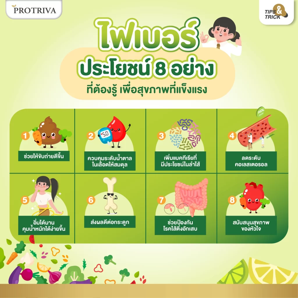 สรุป ไฟเบอร์ ประโยชน์ 8 อย่าง ที่ต้องรู้ เพื่อสุขภาพที่แข็งแรง