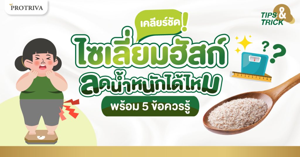 เคลียร์ชัด ไซเลี่ยมฮัสค์ ลดน้ำหนัก ได้ไหม พร้อม 5 ข้อควรรู้