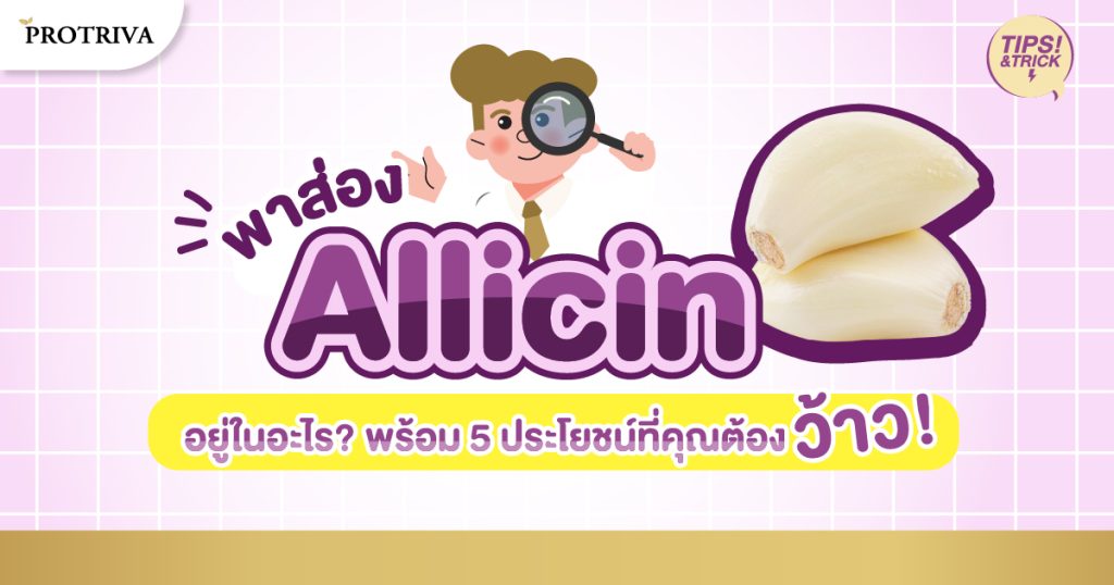 พาส่อง Allicin อยู่ในอะไร พร้อม 5 ประโยชน์ที่คุณต้องว้าว!