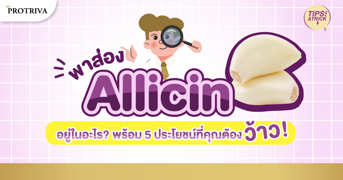 พาส่อง Allicin อยู่ในอะไร พร้อม 5 ประโยชน์ที่คุณต้องว้าว!