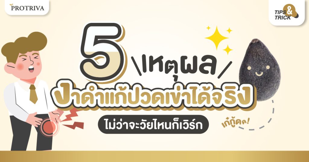 5 เหตุผลที่ งาดำแก้ปวดเข่า ได้จริง ไม่ว่าจะวัยไหนก็เวิร์ก