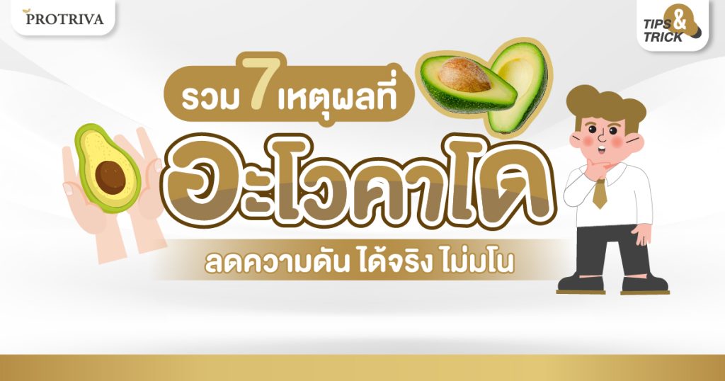 รวม 7 เหตุผลที่ อะโวคาโด ลดความดัน ได้จริง ไม่มโน