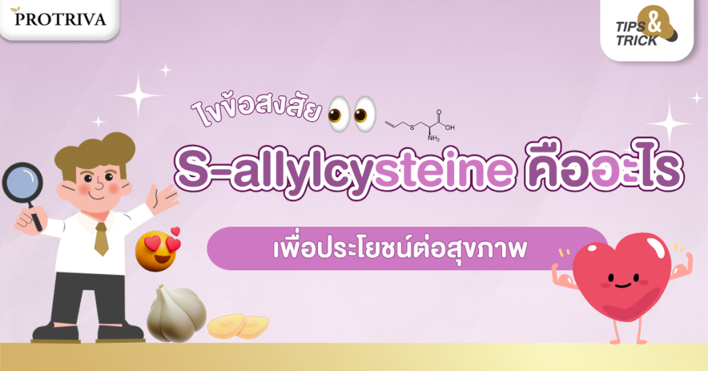 ไขความลับ S-allyl cysteine คืออะไร เพื่อประโยชน์ต่อสุขภาพ