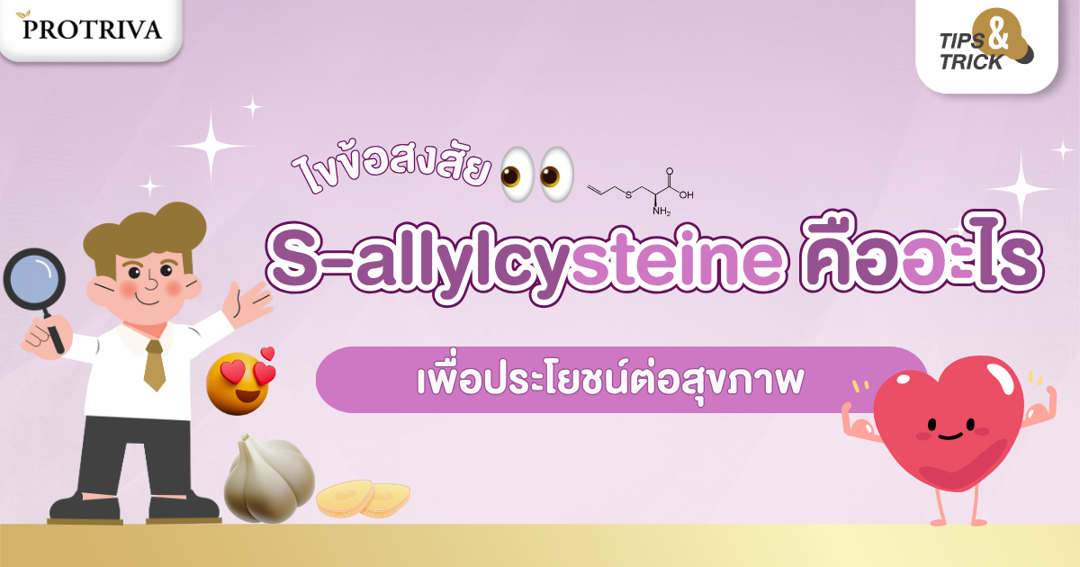 ไขความลับ S-allyl cysteine คืออะไร เพื่อประโยชน์ต่อสุขภาพ