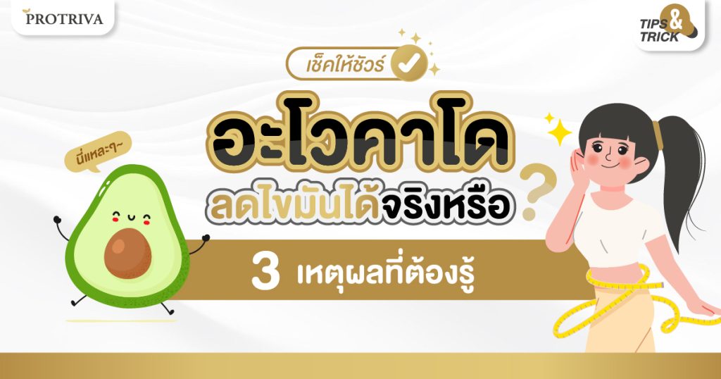 เช็คให้ชัวร์ อะโวคาโด ลดไขมัน ได้จริงหรือ 3 เหตุผลที่ต้องรู้