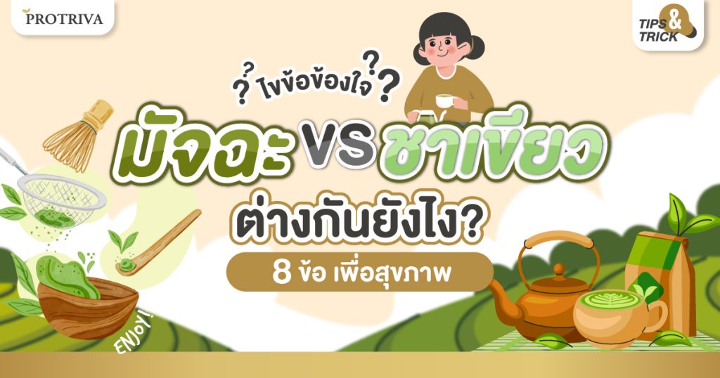 ไขข้อข้องใจ มัทฉะกับชาเขียว ต่างกันยังไง 8 ข้อ เพื่อสุขภาพ