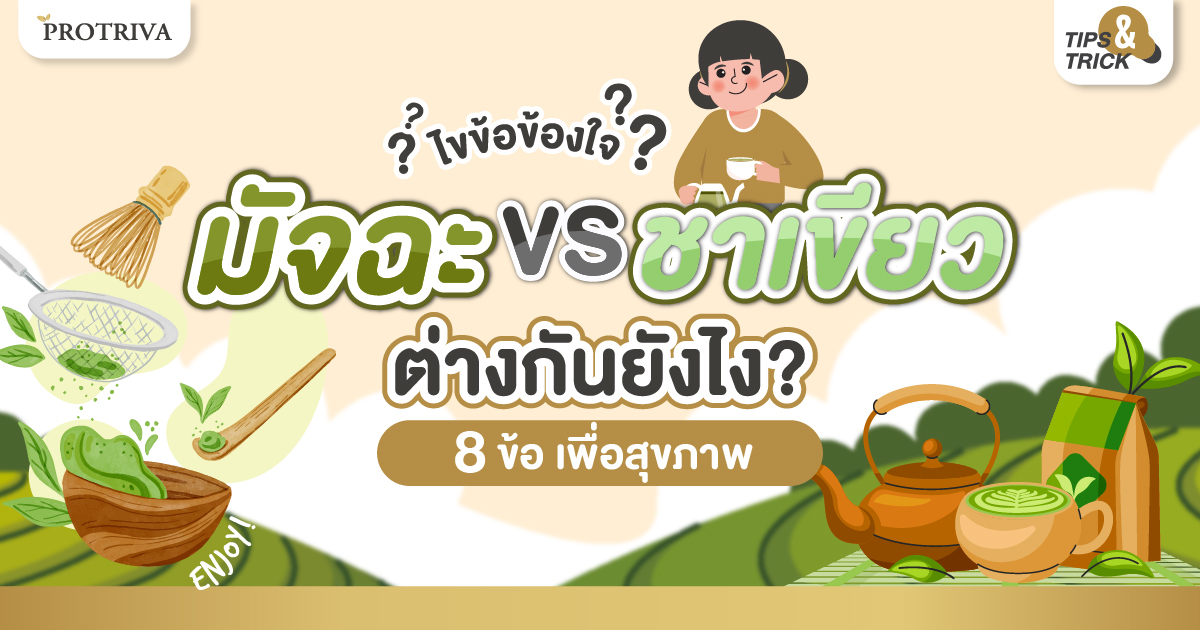 ไขข้อข้องใจ มัทฉะกับชาเขียว ต่างกันยังไง 8 ข้อ เพื่อสุขภาพ