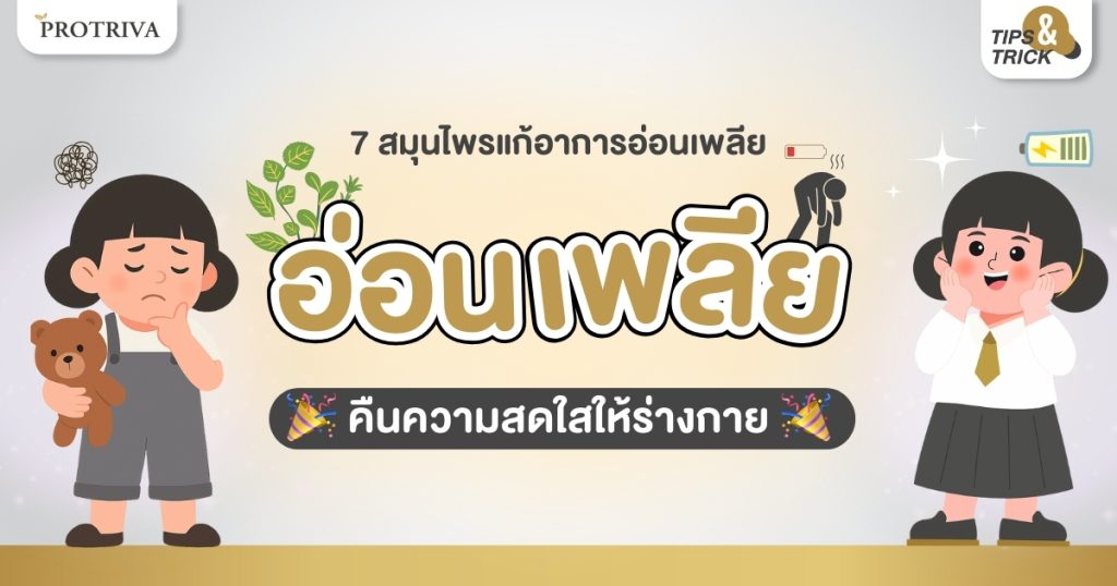 7 สมุนไพรแก้อาการอ่อนเพลีย คืนความสดใสให้ร่างกาย