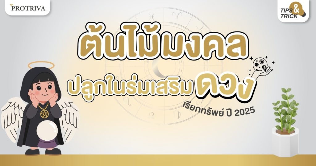 9 ต้นไม้มงคล ปลูกในร่ม เสริมดวง เรียกทรัพย์ ปี 2025