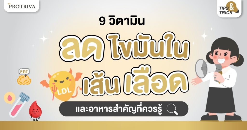 9 วิตามินลดไขมันในเส้นเลือด และอาหารสำคัญที่ควรรู้