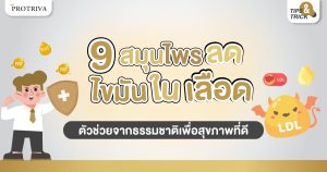 9 สมุนไพรลดไขมันในเลือด ตัวช่วยจากธรรมชาติเพื่อสุขภาพที่ดี