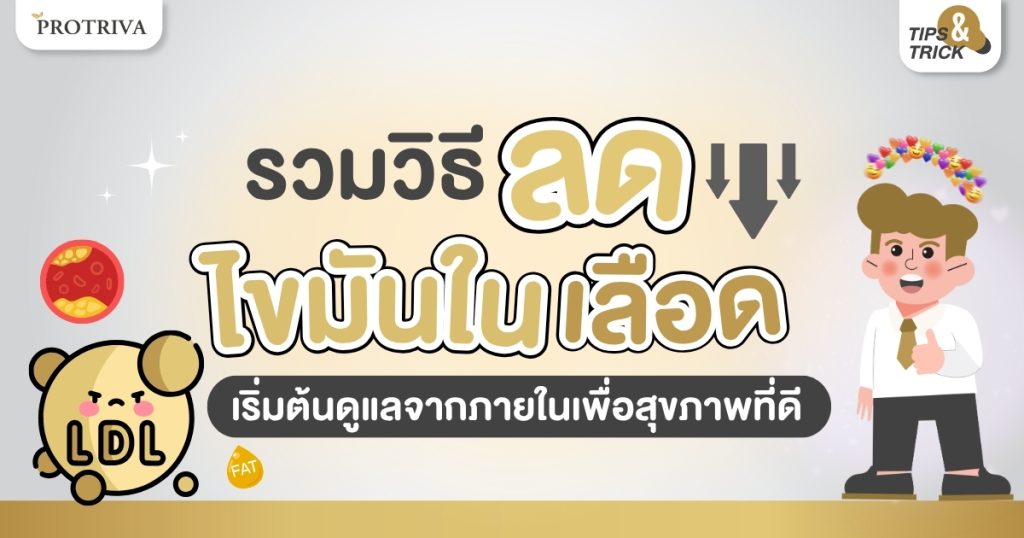 รวม วิธีลดไขมันในเลือด เริ่มต้นดูแลจากภายในเพื่อสุขภาพที่ดี