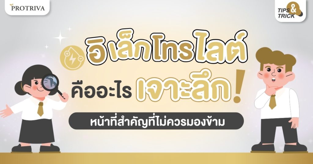อิเล็กโทรไลต์ คือ อะไร เจาะลึก หน้าที่สำคัญที่ไม่ควรมองข้าม