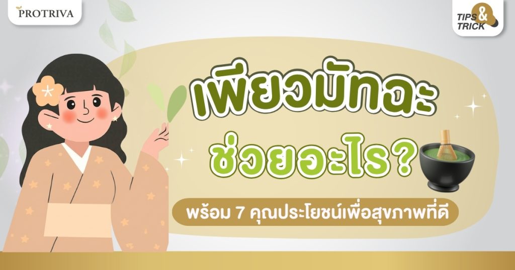 เพียวมัทฉะ ช่วยอะไร พร้อม 7 คุณประโยชน์เพื่อสุขภาพที่ดี