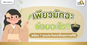 เพียวมัทฉะ ช่วยอะไร พร้อม 7 คุณประโยชน์เพื่อสุขภาพที่ดี