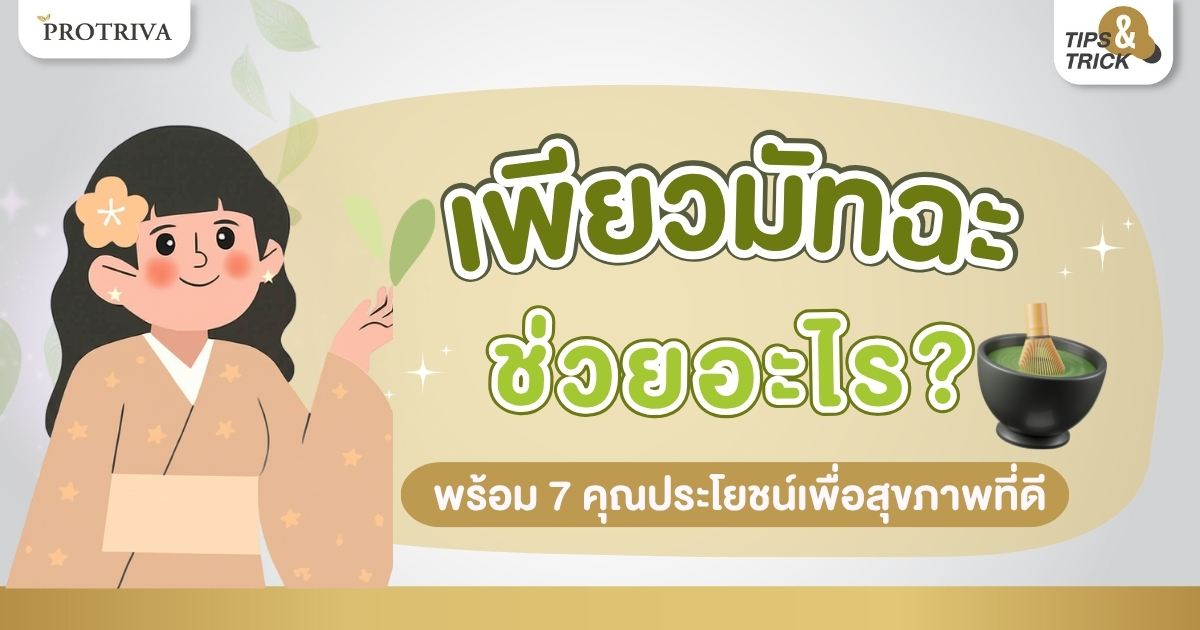 เพียวมัทฉะ ช่วยอะไร พร้อม 7 คุณประโยชน์เพื่อสุขภาพที่ดี